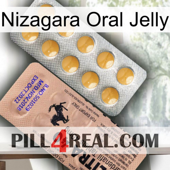 Nizagara Oral Jelly 41.jpg